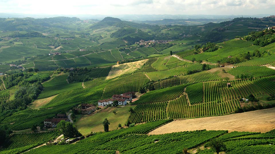 Colline Piemonte