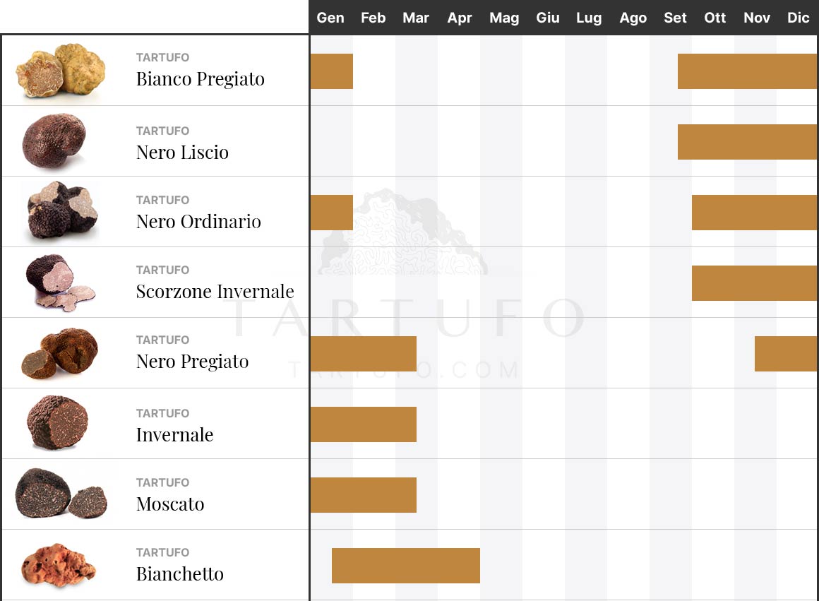 Tabella stagione raccolta tartufo invernale