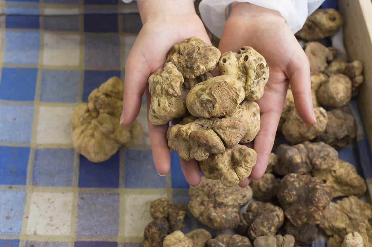 tartufo sulla  mano