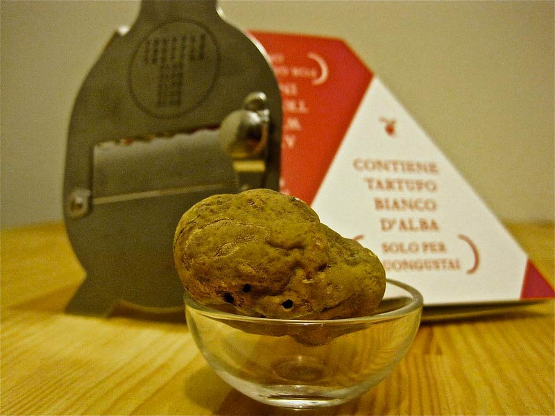 Tartufo bianco pregiato