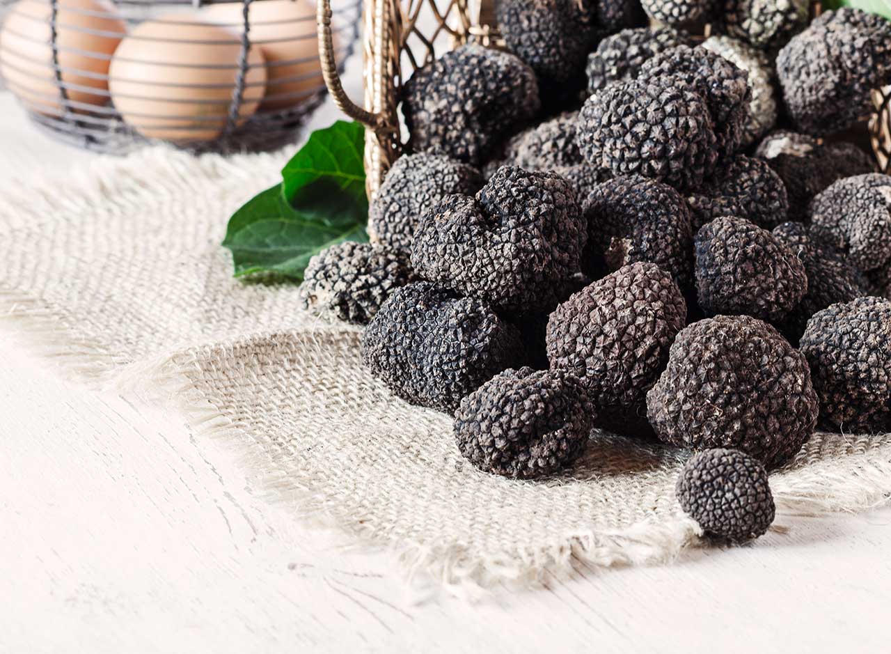 Il tartufo nero di Norcia: come riconoscerlo e dove trovarlo