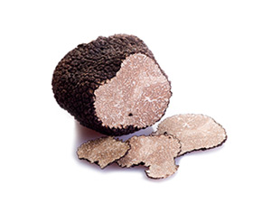 Black summer truffle or Scorzone