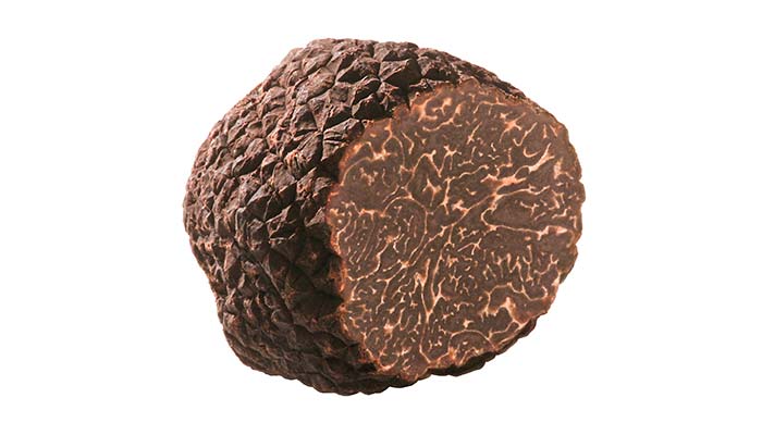 Tartufo nero invernale