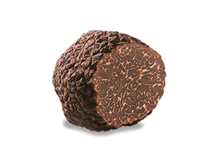 Tartufo Nero