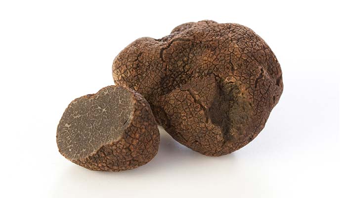 Tartufo nero pregiato