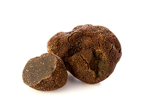 Precious black truffle