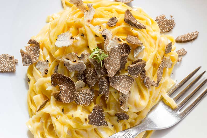 Fettuccine al tartufo