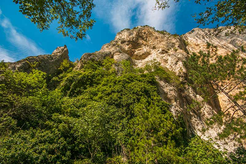 Gola del Furlo