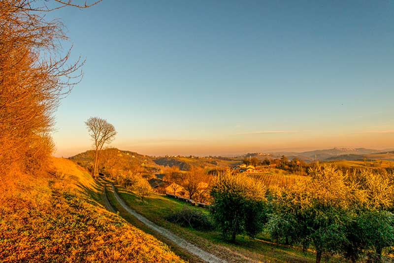 Langhe del Monferrato