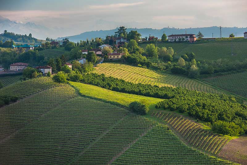 Langhe piemontesi