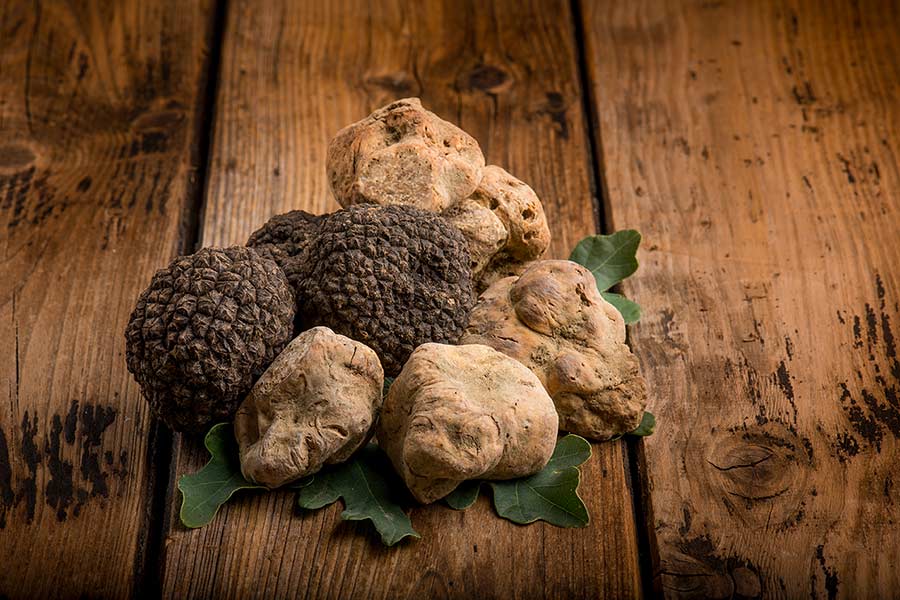 Tartufo Bianco e tartufo nero